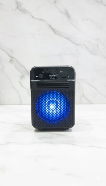 Wireless speaker GTS 2309